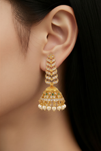 Load image into Gallery viewer, Earrings
